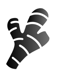 Gingercom logo
